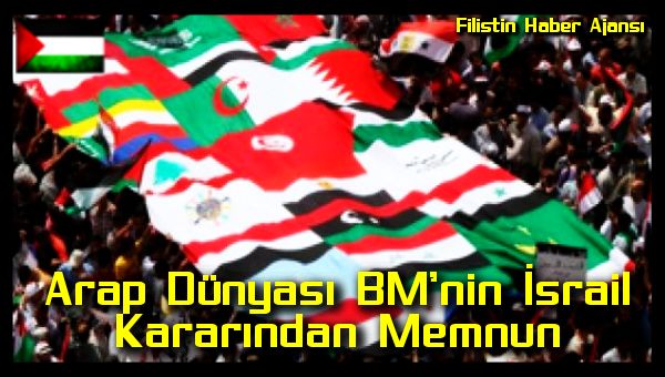 arap-dunyasi-bmnin-israil-kararindan-memnun