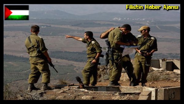 israil-2016da-13000-donum-araziyi-gaspetti