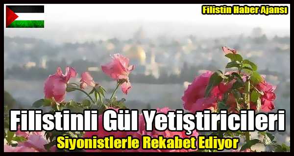 Filistinli Gul Yetistiricileri Siyonistlerle Rekabet Ediyor