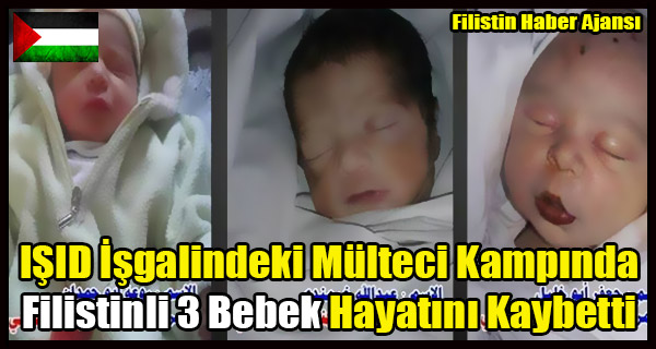 ISID Isgalindeki Multeci Kampinda Filistinli 3 Bebek Hayatini Kaybetti