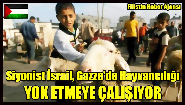 Siyonist Israil, Gazze'de Hayvanciligi YOK ETMEYE CALISIYOR
