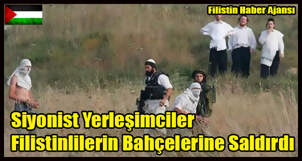 Siyonist Yerlesimciler Filistinlilerin Bahcelerine Saldirdi
