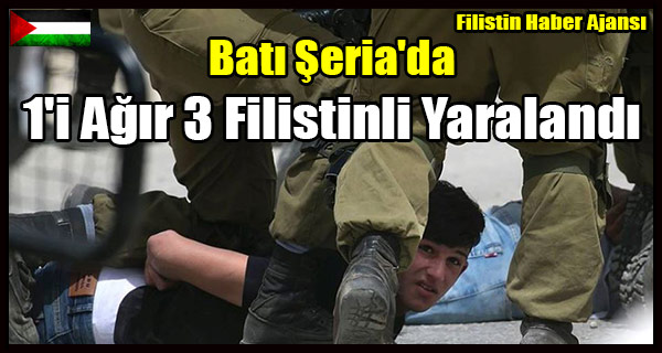 Bati Seria'da 1'i Agir 3 Filistinli Yaralandi