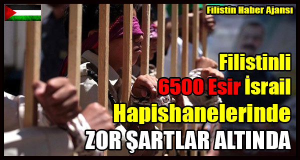 Filistinli 6500 Esir Israil Hapishanelerinde ZOR SARTLAR ALTINDA