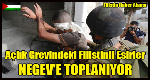 Korsan Israil, Aclik Grevindeki Filistinli Esirleri NEGEN'E TOPLUYOR