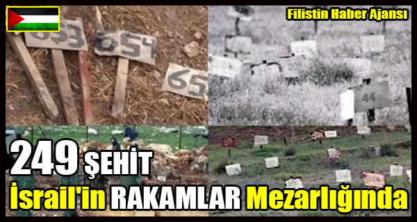 249 SEHIT Israil'in RAKAMLAR Mezarliginda