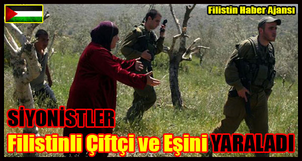SIYONISTLER Filistinli Ciftci ve Esini YARALADI